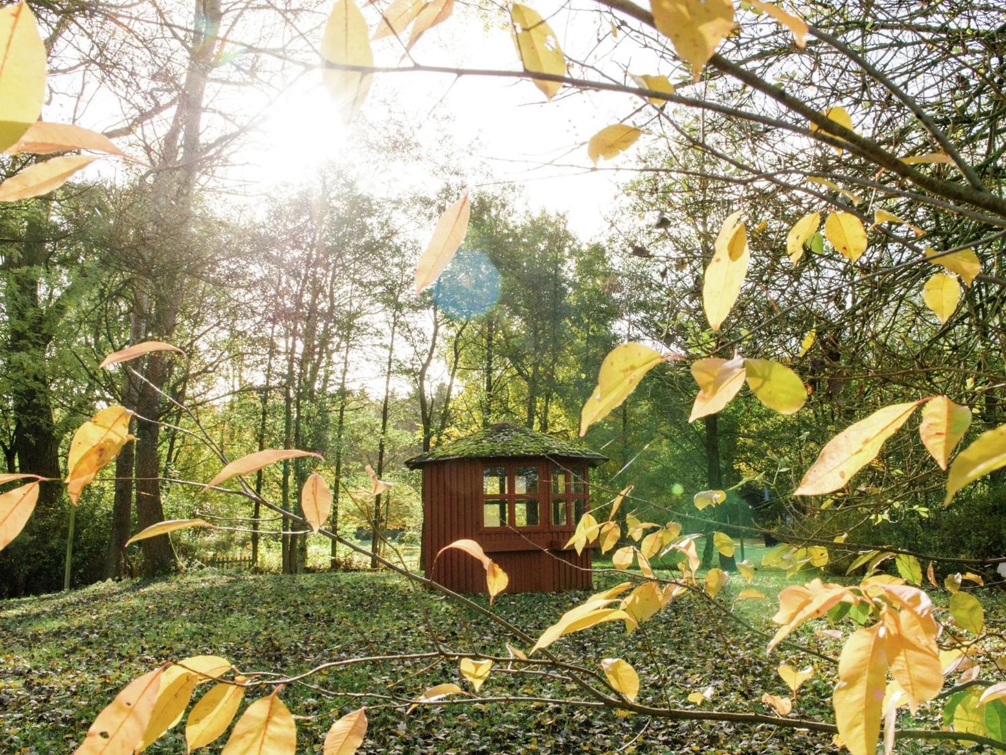 Cozy Holiday Home On A Horse Farm In The L Neburg Heath Eschede Exterior foto